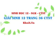 Giải Sinh 12 trang 36 Chân trời Sáng tạo